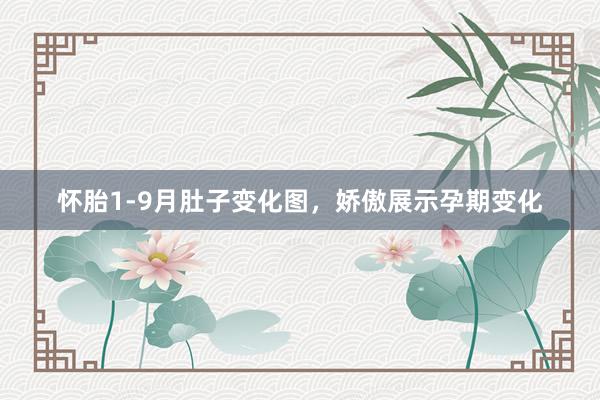 怀胎1-9月肚子变化图，娇傲展示孕期变化