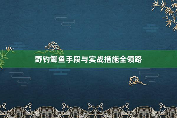 野钓鲫鱼手段与实战措施全领路